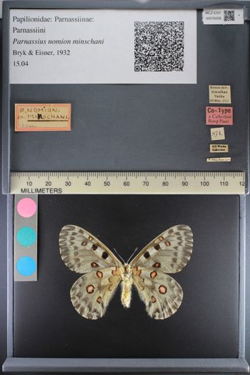 Media type: image;   Entomology 76058